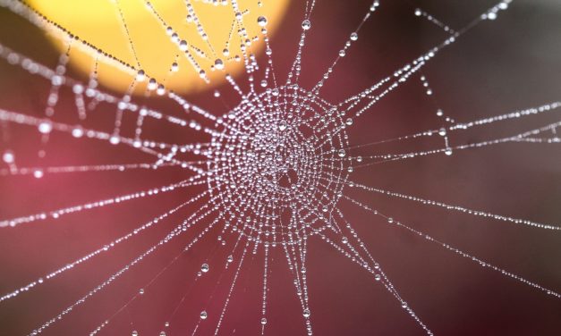 Strengthening human connection during a time of isolation